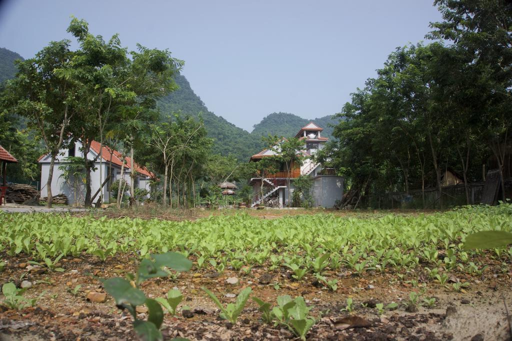 Ho Khanh'S Homestay 퐁냐 외부 사진